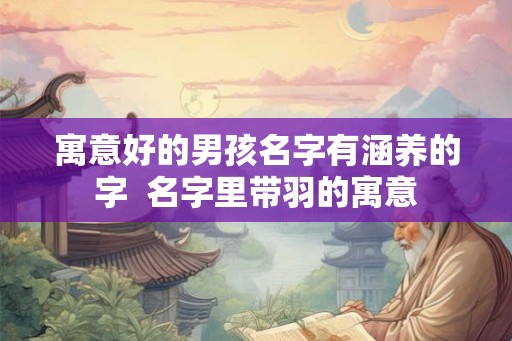 寓意好的男孩名字有涵养的字  名字里带羽的寓意