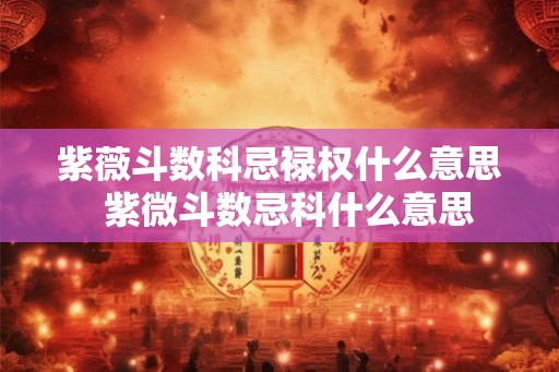 紫薇斗数科忌禄权什么意思 紫微斗数忌科什么意思 紫薇斗数科忌禄权什么意思 紫微斗数忌科什么意思