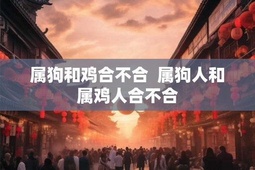属狗和鸡合不合  属狗人和属鸡人合不合