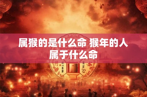 属猴的是什么命 猴年的人属于什么命 属猴的是什么命 猴年的人属于什么命