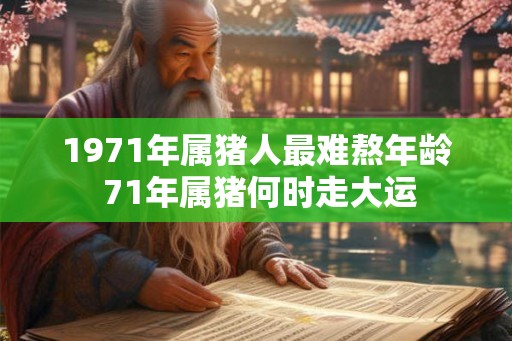 1971年属猪人最难熬年龄 71年属猪何时走大运 1971年属猪人最难熬年龄 71年属猪何时走大运