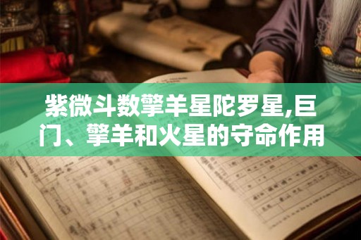 紫微斗数擎羊星陀罗星,巨门、擎羊和火星的守命作用