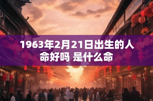 1963年2月21日出生的人命好吗 是什么命
