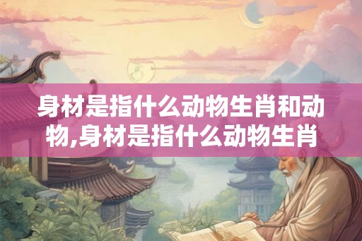 身材是指什么动物生肖和动物,身材是指什么动物生肖和动物图片