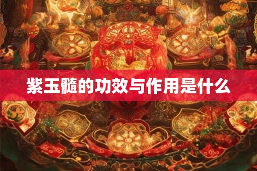 紫玉髓的功效与作用是什么
