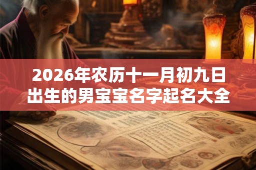 2026年农历十一月初九日出生的男宝宝名字起名大全