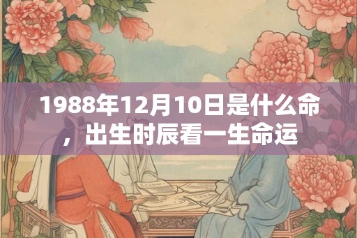 1988年12月10日是什么命，出生时辰看一生命运