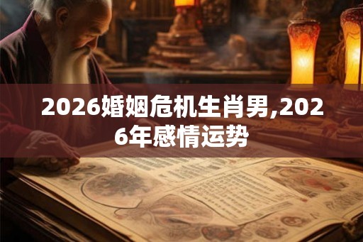 2026婚姻危机生肖男,2026年感情运势