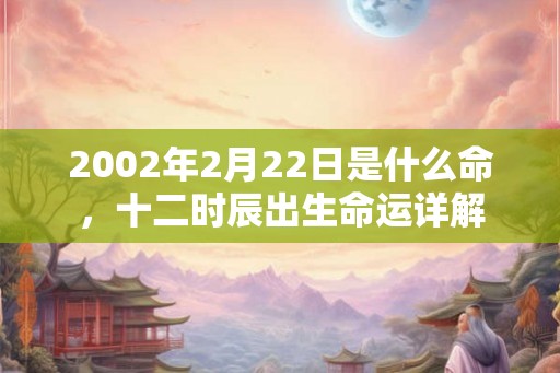 2002年2月22日是什么命，十二时辰出生命运详解