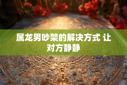 属龙男吵架的解决方式 让对方静静