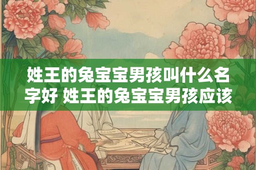 姓王的兔宝宝男孩叫什么名字好 姓王的兔宝宝男孩应该取什么名字 姓王的兔宝宝男孩叫什么名字好 姓王的兔宝宝男孩应该取什么名字