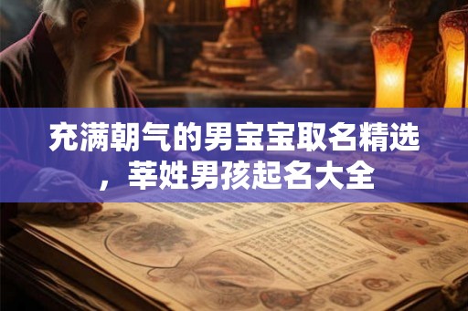 充满朝气的男宝宝取名精选，莘姓男孩起名大全