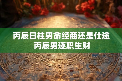 丙辰日柱男命经商还是仕途 丙辰男逐职生财