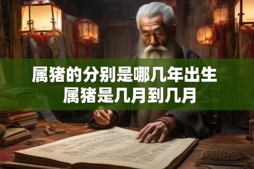 属猪的分别是哪几年出生  属猪是几月到几月