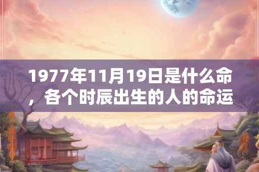 1977年11月19日是什么命,各个时辰出生的人的命运 1977年11月19日是什么命,各个时辰出生的人的命运
