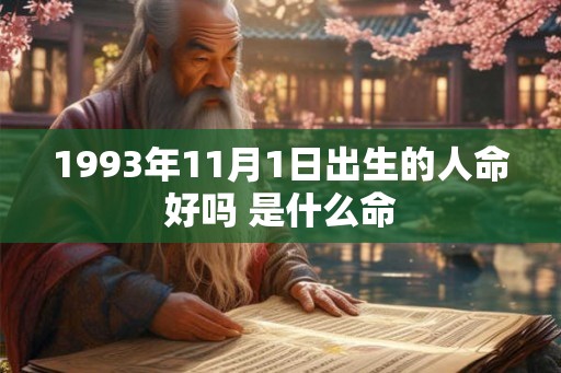 1993年11月1日出生的人命好吗 是什么命