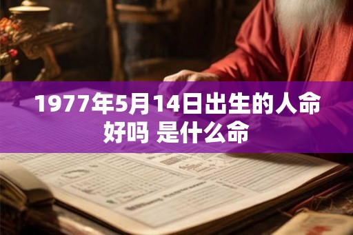 1977年5月14日出生的人命好吗 是什么命