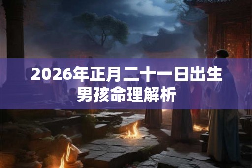2026年正月二十一日出生男孩命理解析