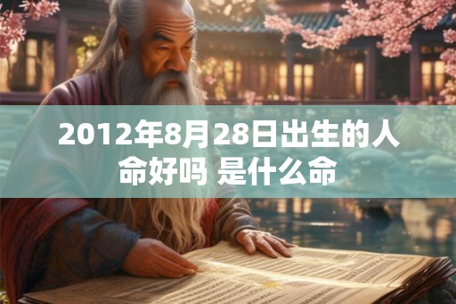 2012年8月28日出生的人命好吗 是什么命
