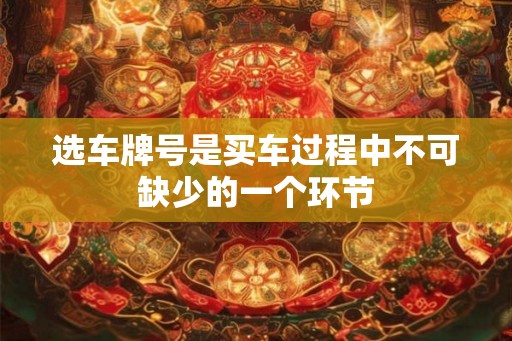 选车牌号是买车过程中不可缺少的一个环节