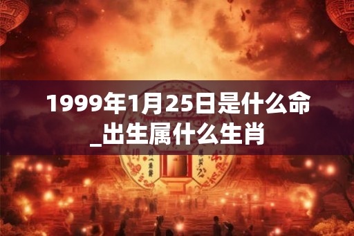 1999年1月25日是什么命_出生属什么生肖