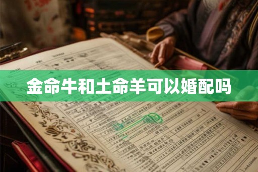 金命牛和土命羊可以婚配吗