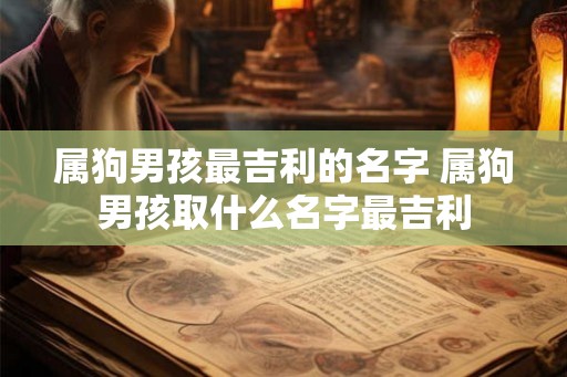 属狗男孩最吉利的名字 属狗男孩取什么名字最吉利 属狗男孩最吉利的名字 属狗男孩取什么名字最吉利