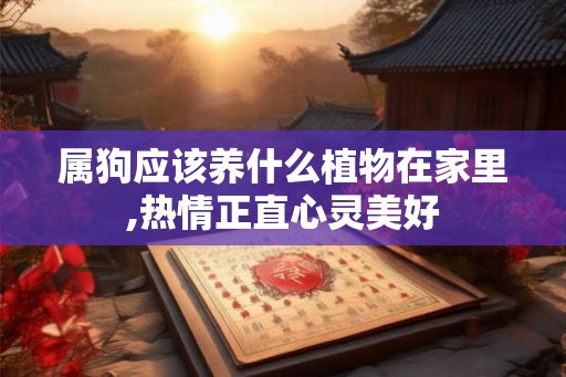 属狗应该养什么植物在家里,热情正直心灵美好