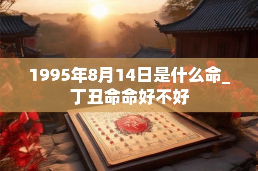 1995年8月14日是什么命_丁丑命命好不好