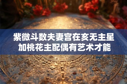 紫微斗数夫妻宫在亥无主星 加桃花主配偶有艺术才能