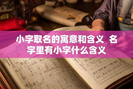 小字取名的寓意和含义  名字里有小字什么含义
