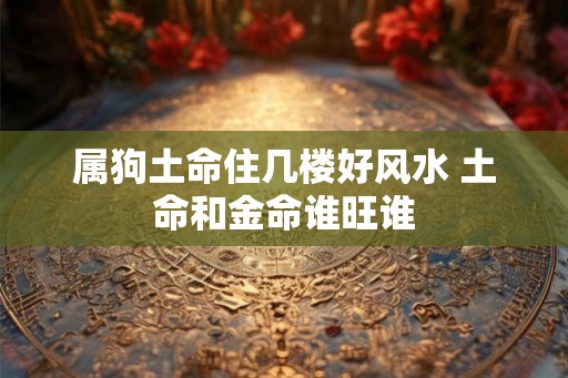 属狗土命住几楼好风水 土命和金命谁旺谁