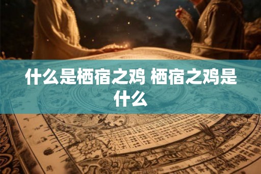什么是栖宿之鸡 栖宿之鸡是什么 什么是栖宿之鸡 栖宿之鸡是什么