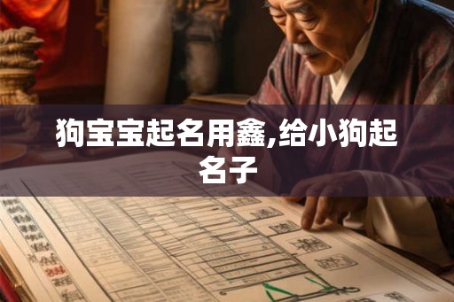 狗宝宝起名用鑫,给小狗起名子