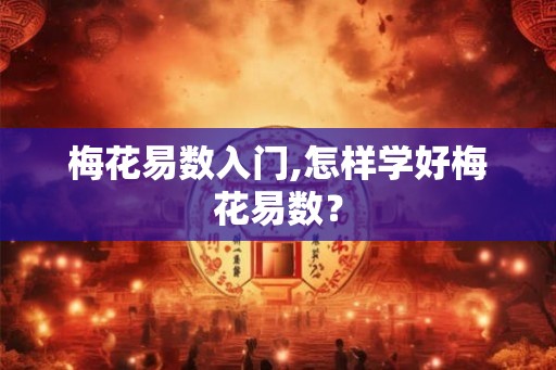 梅花易数入门,怎样学好梅花易数？