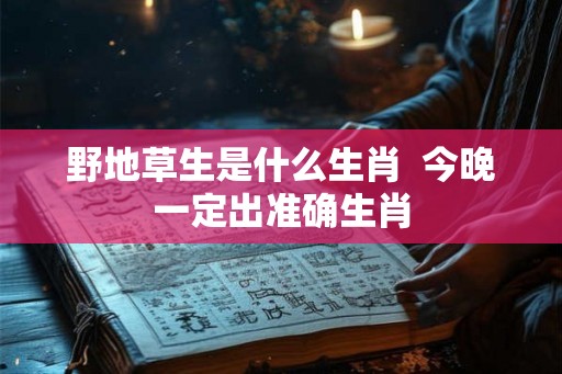 野地草生是什么生肖 今晚一定出准确生肖 野地草生是什么生肖 今晚一定出准确生肖