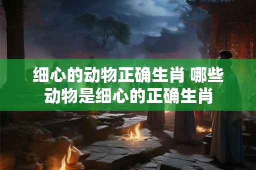 细心的动物正确生肖 哪些动物是细心的正确生肖