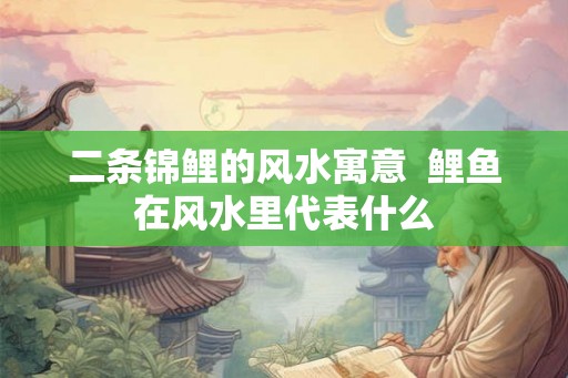 二条锦鲤的风水寓意 鲤鱼在风水里代表什么 二条锦鲤的风水寓意 鲤鱼在风水里代表什么