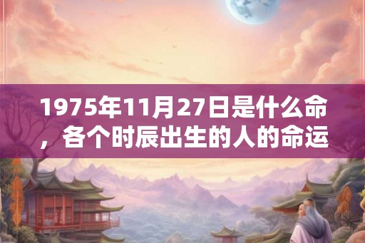 1975年11月27日是什么命,各个时辰出生的人的命运 1975年11月27日是什么命,各个时辰出生的人的命运