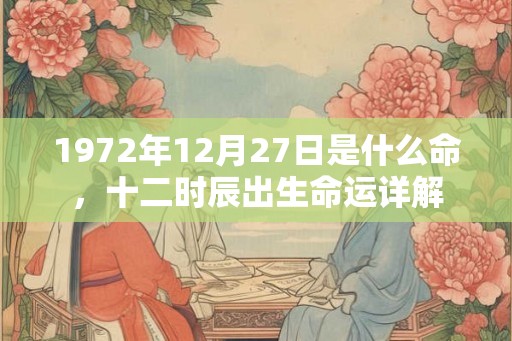 1972年12月27日是什么命，十二时辰出生命运详解