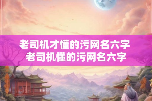 老司机才懂的污网名六字 老司机懂的污网名六字