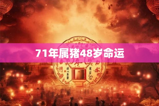 71年属猪48岁命运