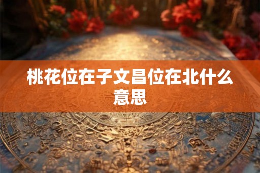 桃花位在子文昌位在北什么意思