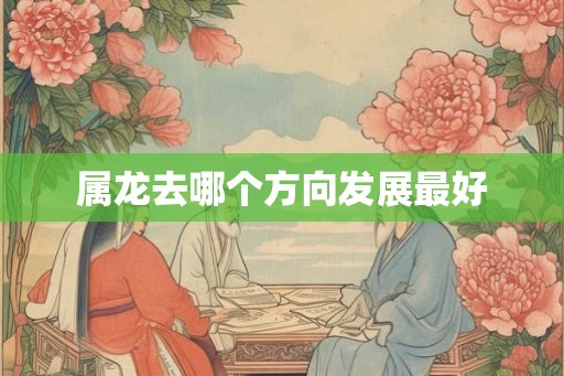属龙去哪个方向发展最好