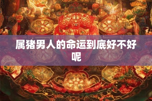 属猪男人的命运到底好不好呢
