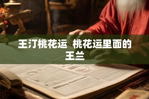 王汀桃花运  桃花运里面的王兰