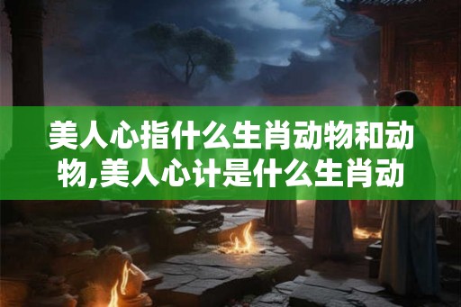美人心指什么生肖动物和动物,美人心计是什么生肖动物