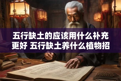 五行缺土的应该用什么补充更好 五行缺土养什么植物招财 五行缺土的应该用什么补充更好 五行缺土养什么植物招财