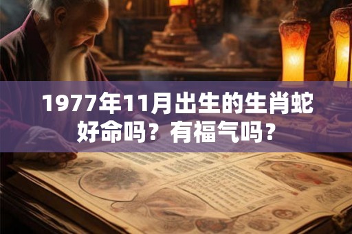 1977年11月出生的生肖蛇好命吗?有福气吗? 1977年11月出生的生肖蛇好命吗?有福气吗?
