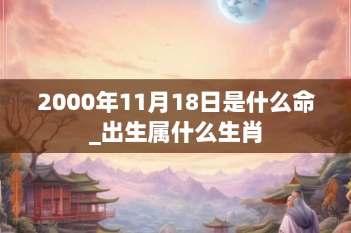 2000年11月18日是什么命_出生属什么生肖